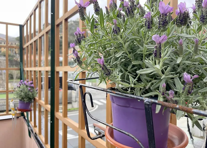 Apartment Lorenzo Marchesi House Recco