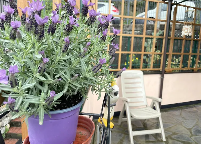 Lorenzo Marchesi House شقة ريكّو